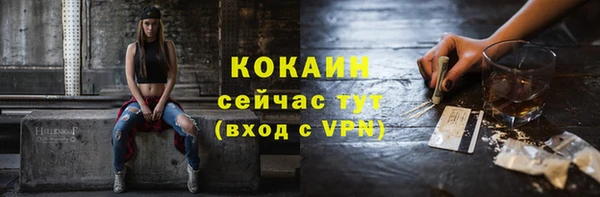 mdpv Дмитриев