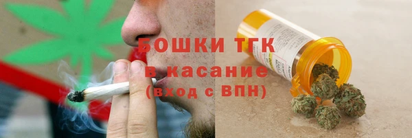 твердый Елизово
