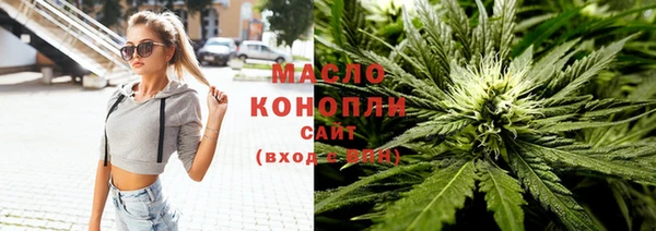 стафф Ельня