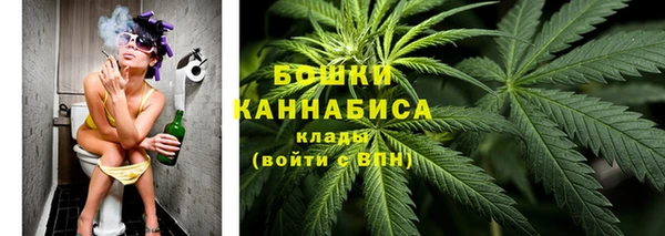 мяу мяу мука Елабуга