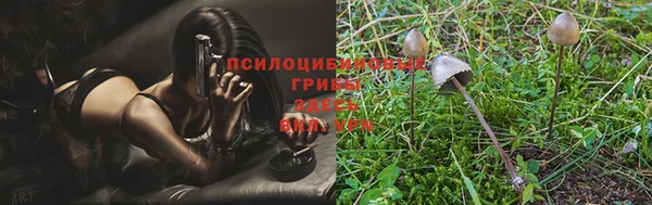 твердый Елизово
