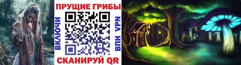 Галлюциногенные грибы Psilocybe  Ачхой-Мартан 